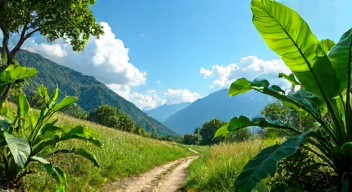 Ökonomische Aspekte des Dschungelcamps: Geld und Ruhm (8/10)