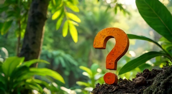 Die 5 meistgestellten Fragen (FAQ) zu Dschungelcamp-Analysen