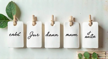 Die 5 meistgestellten Fragen (FAQ) zu "PUR+"