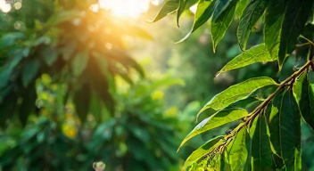 Die 6 häufigsten Fehler bei Dschungelcamp-Analysen