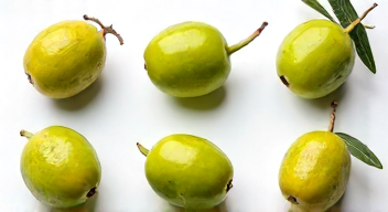 Die 6 häufigsten Fehler bei Oliven