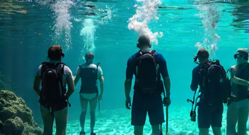 Die 6 häufigsten Fehler bei "Tauch, Timmy, Tauch!"