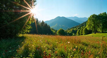 Einblicke in die Natur: Joseph Bader über die Doku (2/10)