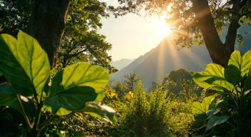 Musikalische Einflüsse im Dschungelcamp (9/10)