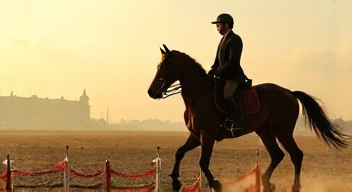 Politische Dimensionen des Reitsports