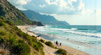 Politische Maßnahmen zum Schutz der Sturmschwalben (8/10)