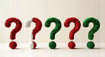 Die 5 meistgestellten Fragen (FAQ) zu Giorgia Meloni