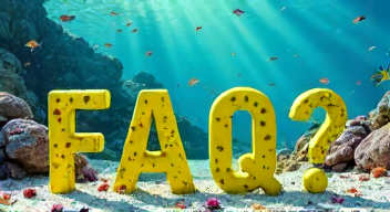 Die 5 meistgestellten Fragen (FAQ) zu "SpongeBob Schwammkopf"